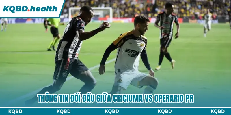 Criciuma vs Operario PR có những cuộc đối đầu đầy căng thẳng